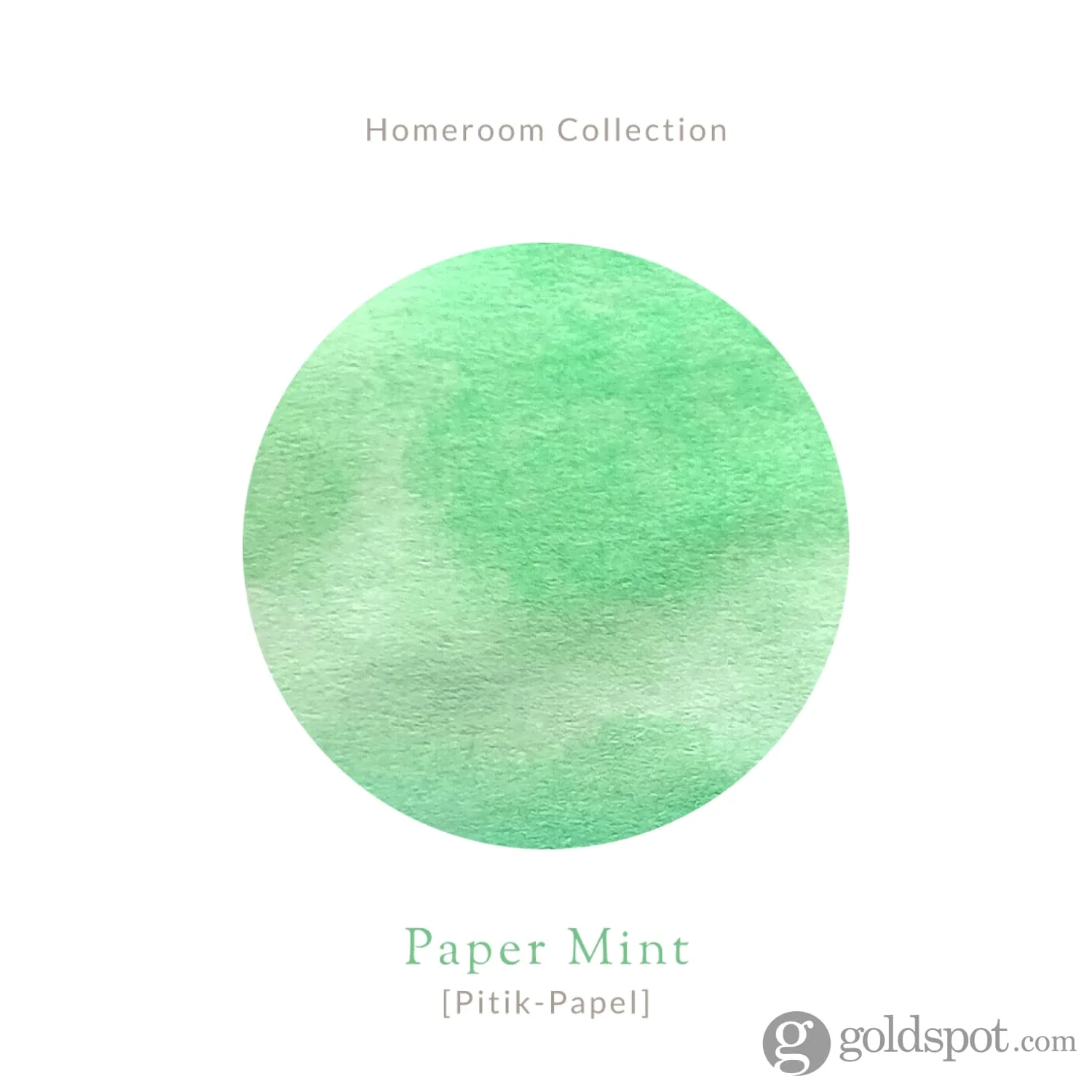 Vinta Inks Homeroom Bottled Ink in Paper Mint [Pitik Papel] - 30mL