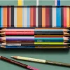 Caran d'Ache Paul Smith 5 Bicolor Set of 12 Coloured Pencils with Brush