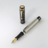 Omas Cobra Fountain Pen in Silver Guilloché - 14K