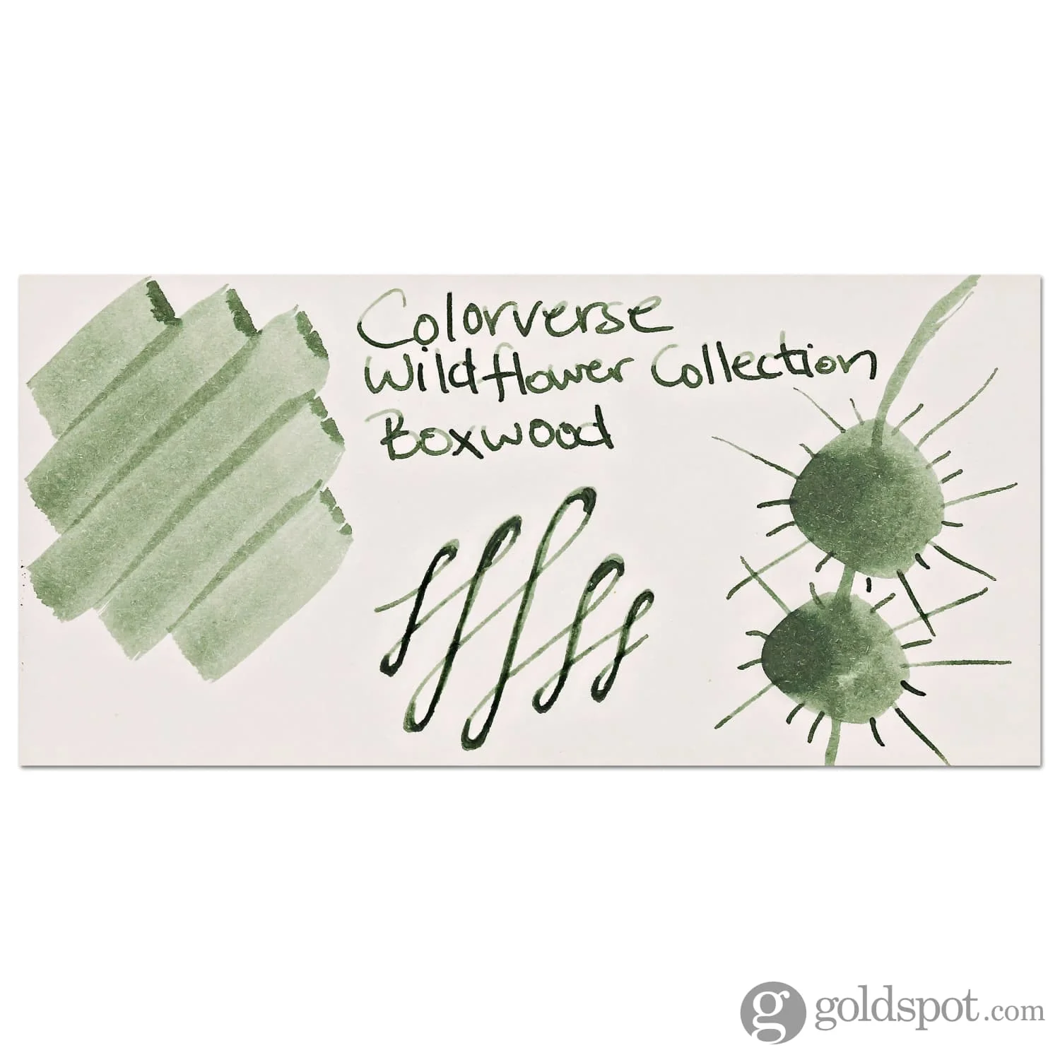 Colorverse Project Ink Vol. 10 Bottled Ink in No.064 Boxwood - 15mL