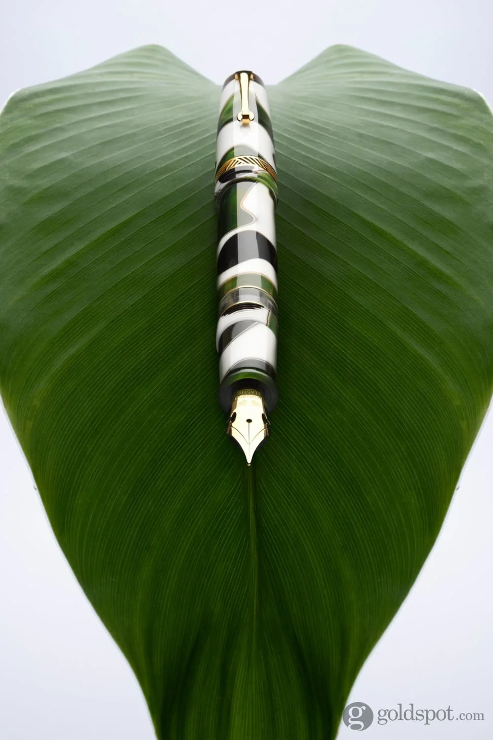 Leonardo Momento Magico Fountain Pen in Foglia