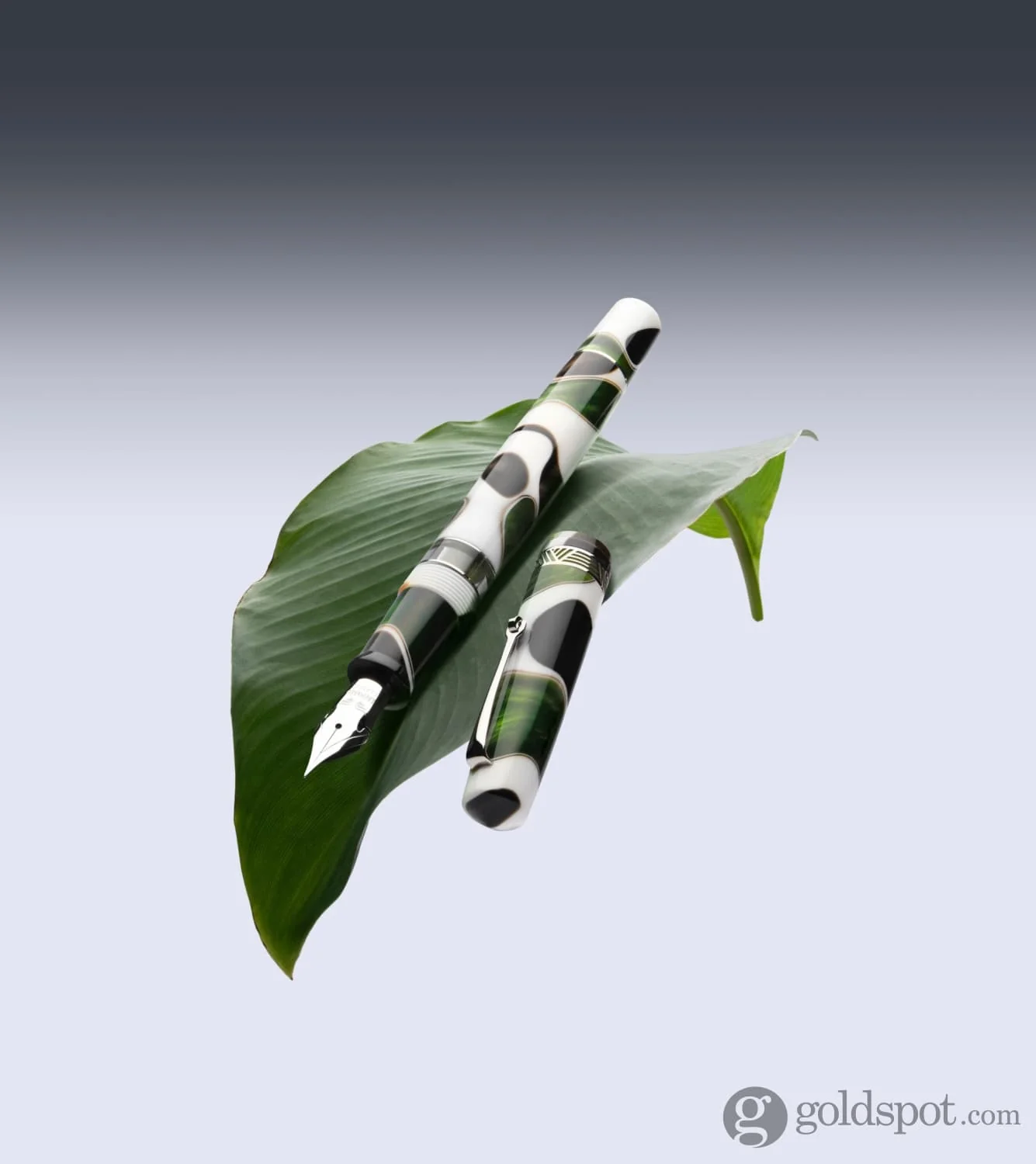 Leonardo Momento Magico Fountain Pen in Foglia
