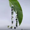 Leonardo Momento Magico Fountain Pen in Foglia