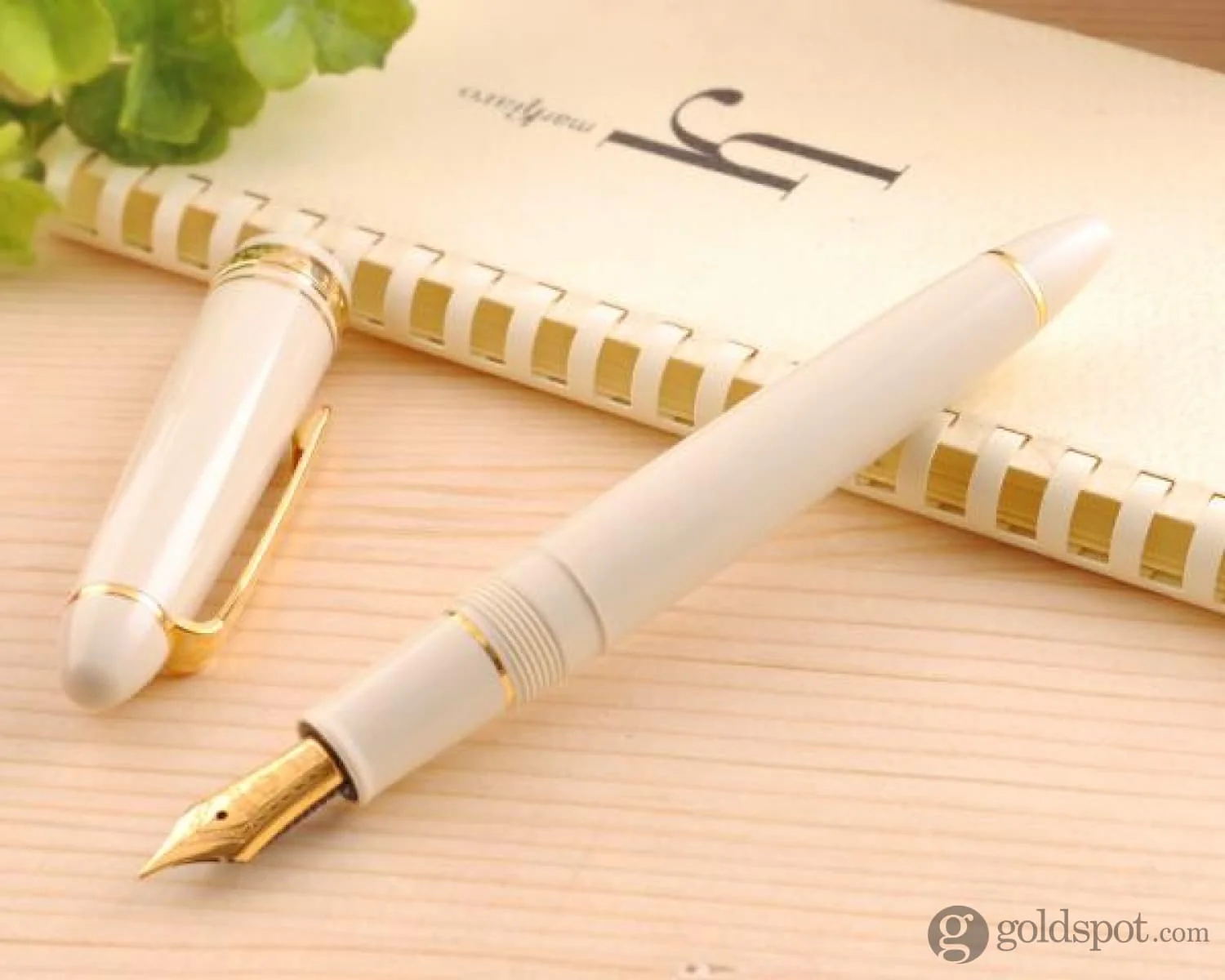 4458-sailor-1911-standard-fountain-pen-in-ivory-with-gold-trim-14k-gold-3.webp Sailor 1911 Standard Fountain Pen in Ivory with Gold Trim - 14K Gold