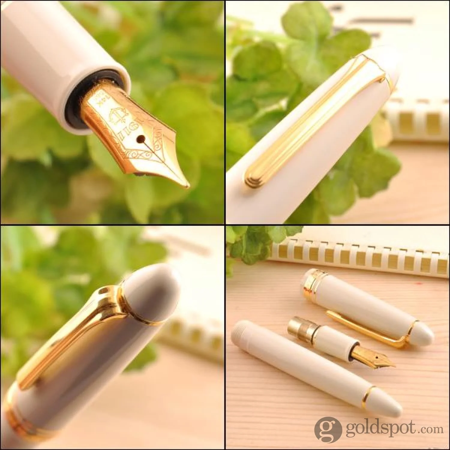 4458-sailor-1911-standard-fountain-pen-in-ivory-with-gold-trim-14k-gold-4.webp Sailor 1911 Standard Fountain Pen in Ivory with Gold Trim - 14K Gold