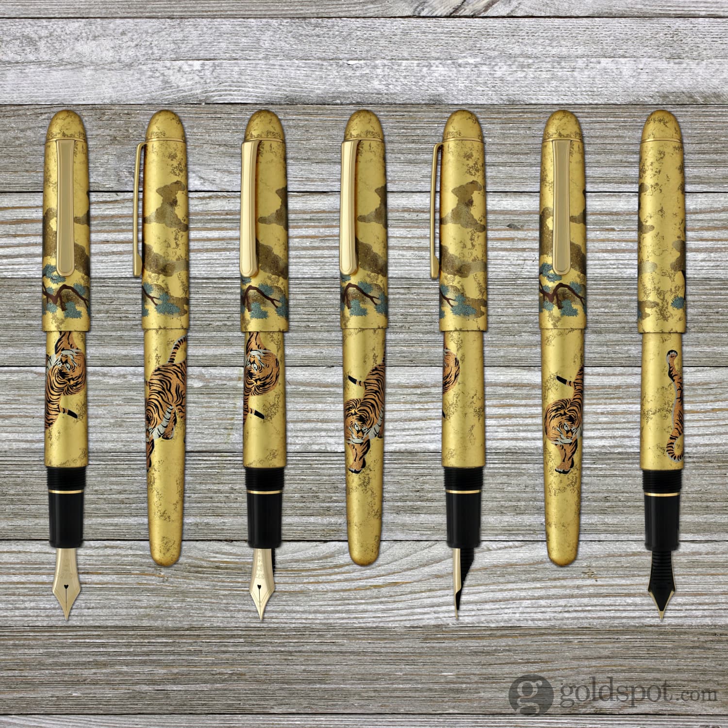 Platinum Kanazawa-Haku Fountain Pen in Matsu-Tora