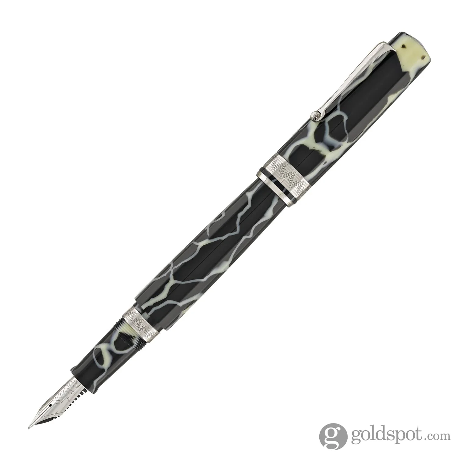 Omas Paragon Fountain Pen in Wild with Silver Trim