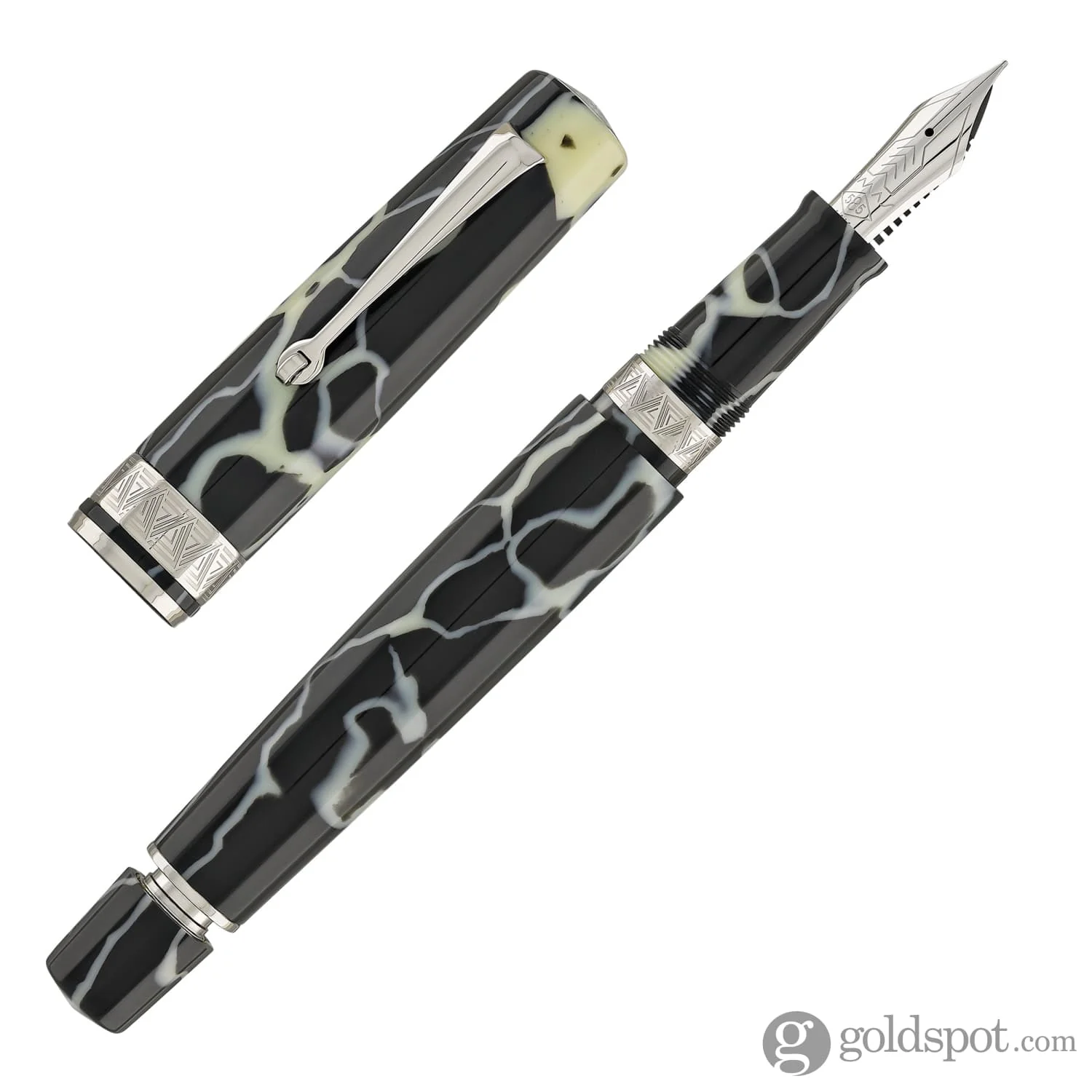 Omas Paragon Fountain Pen in Wild with Silver Trim