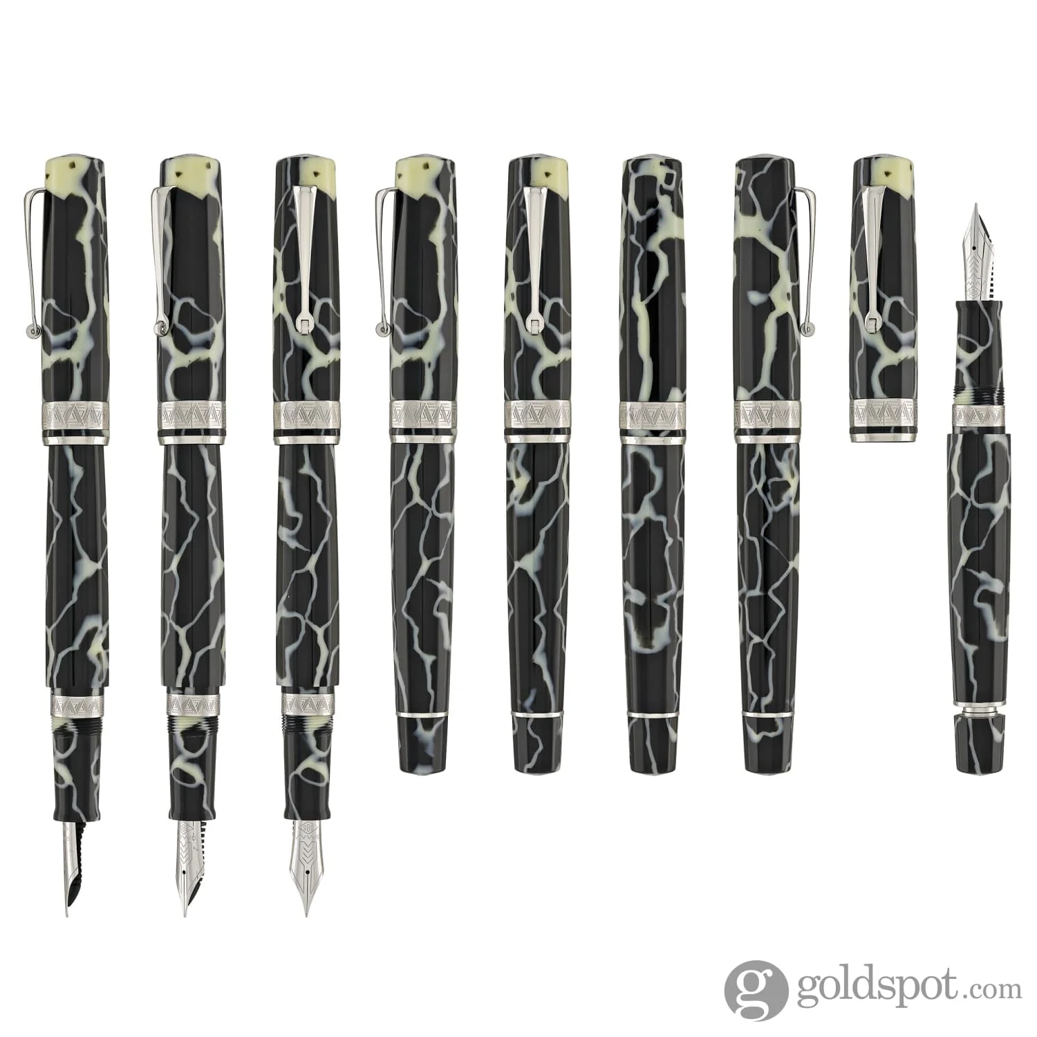 Omas Paragon Fountain Pen in Wild with Silver Trim