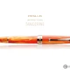 Penlux Masterpiece Delgado Fountain Pen in Tangerine