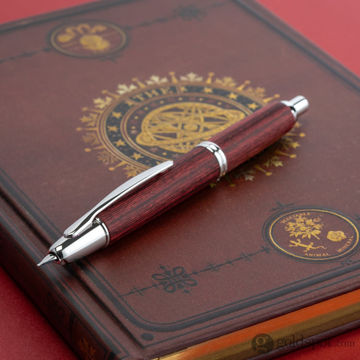 Pilot Vanishing Point Fountain Pen in Birchwood Red - 18K Gold