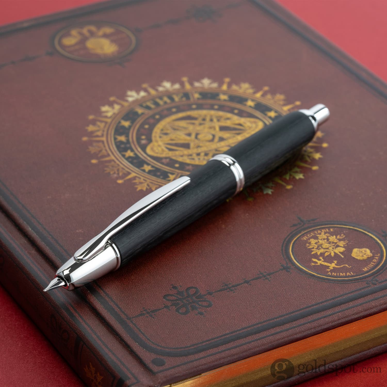Pilot Vanishing Point Fountain Pen in Birchwood Black - 18K Gold
