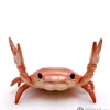 6352-crab-pen-holder-in-orange-2.webp Crab Pen Holder in Orange