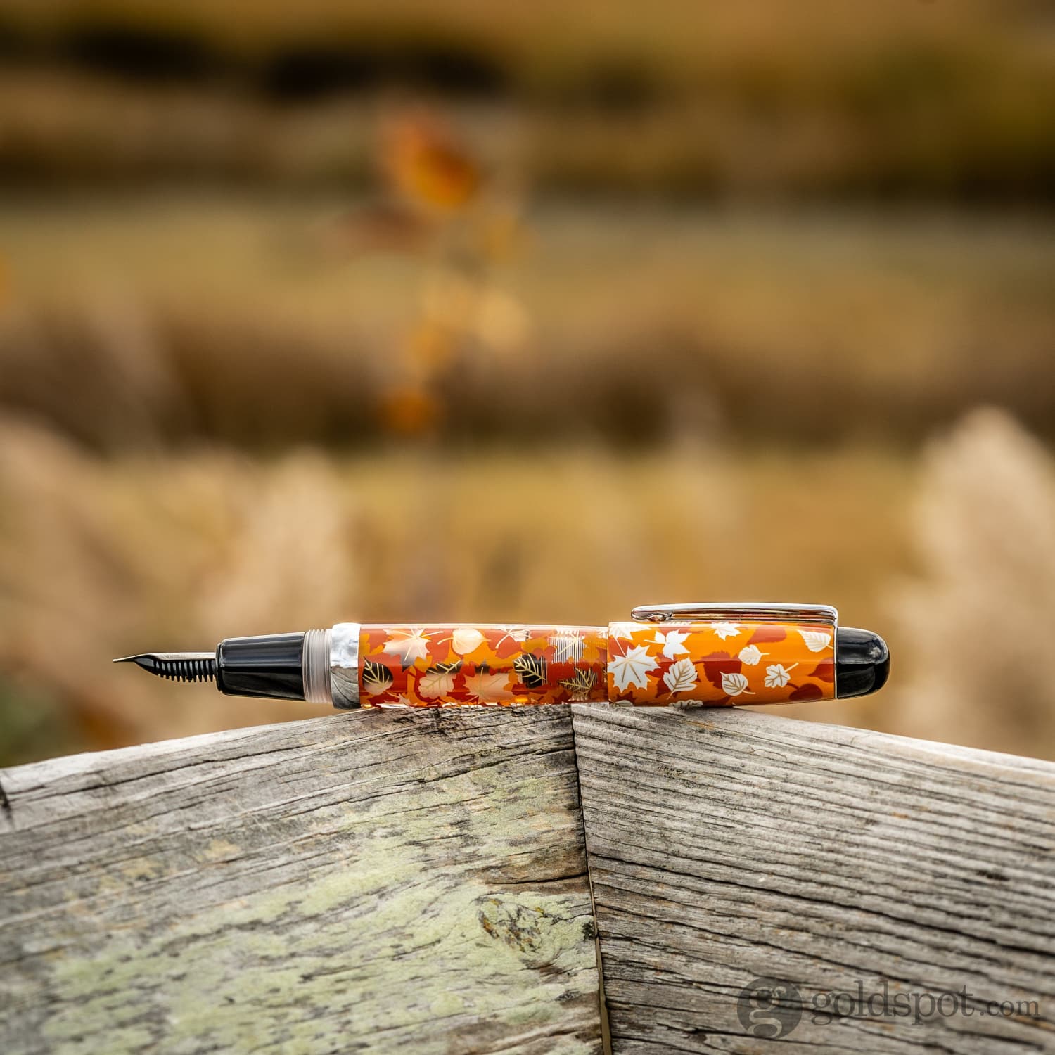 Opus 88 Mini Fountain Pen in Fall Leaves