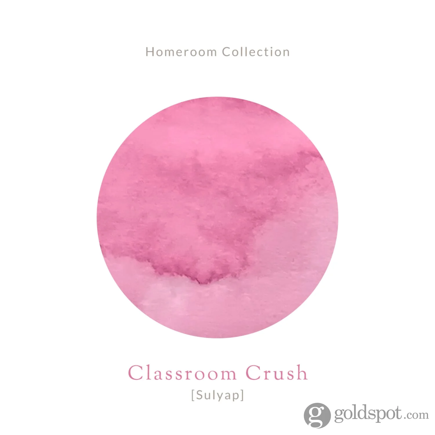 Vinta Inks Homeroom Bottled Ink in Classroom Crush [Sulyap] - 30mL