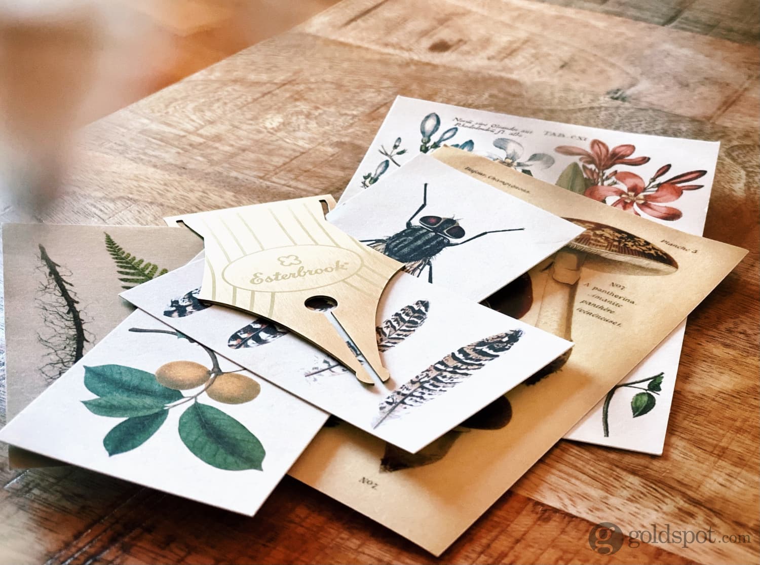 Esterbrook Nib Bookmark