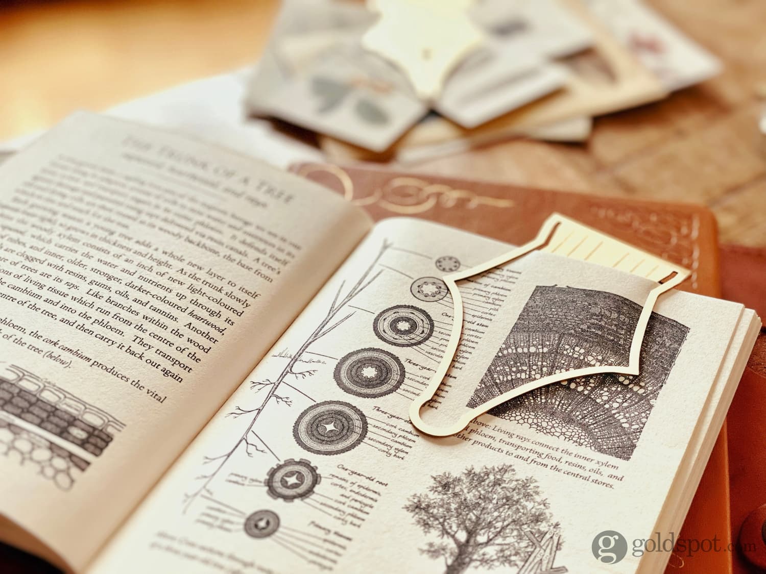 Esterbrook Nib Bookmark
